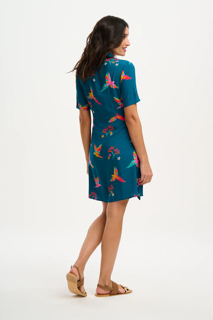 Dessie Shirt Dress - Teal, Rainbow Parrots