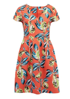 Sophie Tropical Punch Fit & Flare Dress